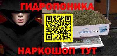 бошки Малгобек