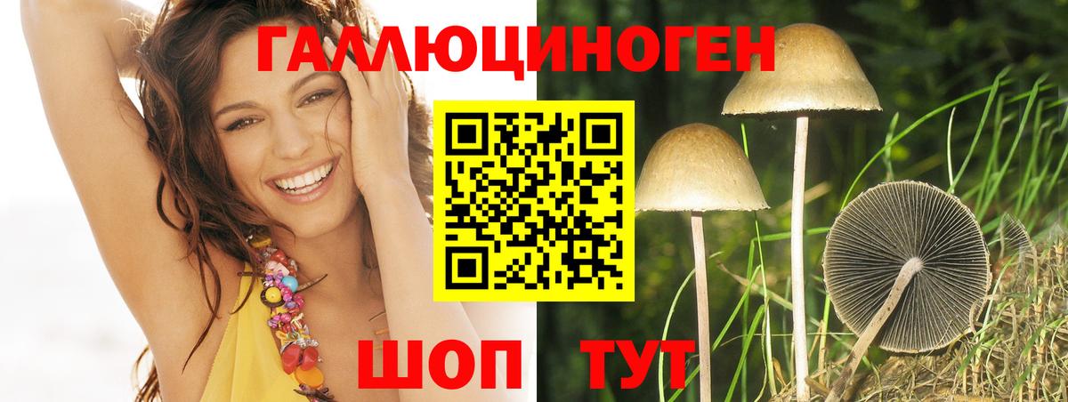 Долгопрудный  Псилоцибиновые грибы мухоморы  Вход с VPN 